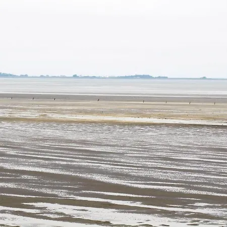 Haus Seehuette, Whg 313 דירה